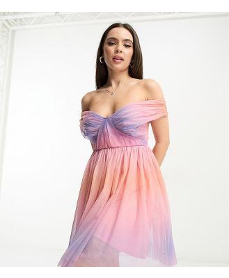 Anaya Petite bardot tulle mini dress in ombre-Multi