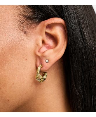 Bohomoon Pia gold plated chain detail hoop earrings