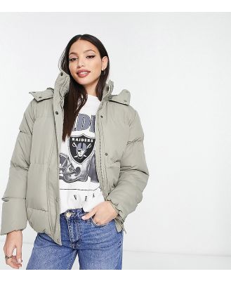 Brave Soul Tall Bunny hooded puffer jacket in sage green