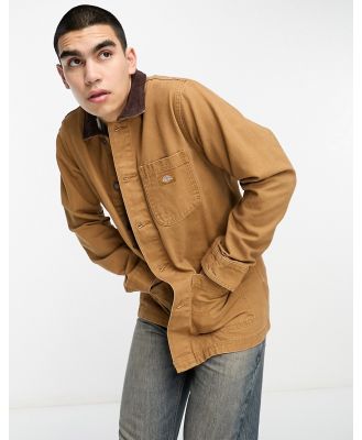 Dickies duck canvas unlined chore jacket in brown