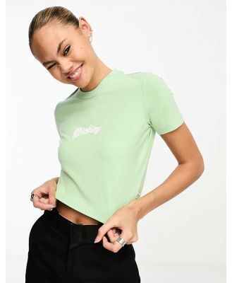 Dickies Mayetta crop baby t-shirt with central logo in quiet green