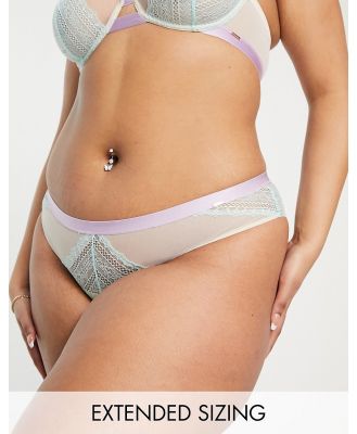 Dorina Ilaria lace and mesh cheeky hipster briefs in pastel colour block-Multi