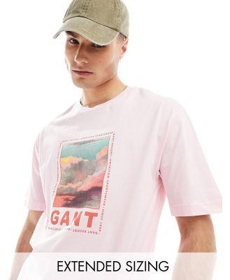 GANT washed front cloud logo print t-shirt relaxed fit in pink