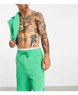 HIIT sweat shorts in green