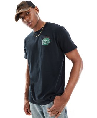 Hollister relaxed fit t-shirt with back print in black