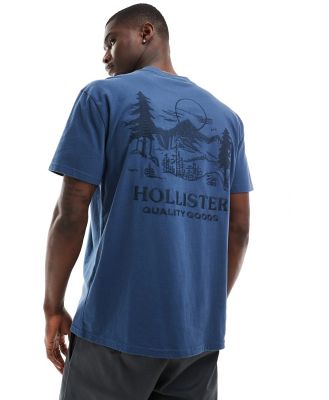 Hollister relaxed fit t-shirt with embroidered back print in blue