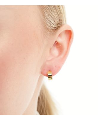 Kingsley Ryan gold plated 10mm thick hoop earrings in gold