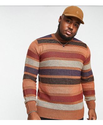 Le Breve Plus colour wave knit jumper in brown