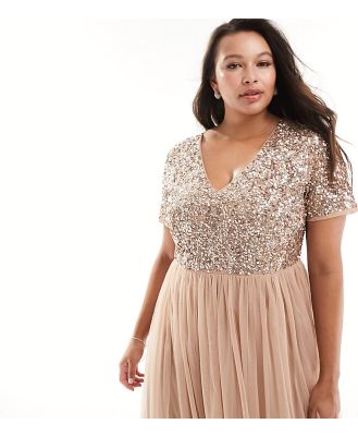Maya Plus Bridesmaid short sleeve maxi tulle dress with tonal delicate sequins in muted blush-Neutral