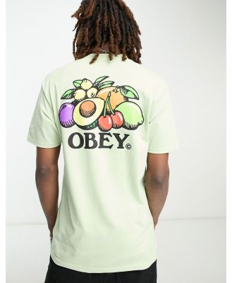 Obey bowl of fruit back print t-shirt in green