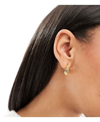Orelia 18k gold plated tapered dome twist hoop earrings