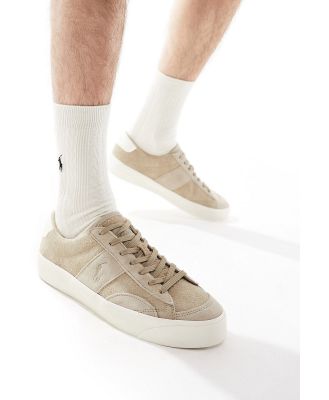 Polo Ralph Lauren Sayer Sport sneakers in tan suede-Brown