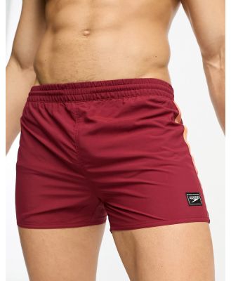 Speedo retro 13 swim shorts in burgundy-Red