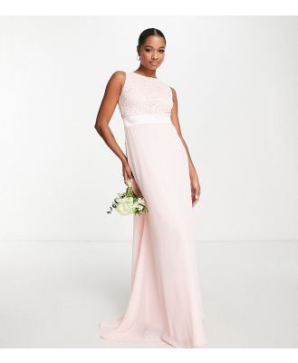 TFNC Petite chiffon maxi dress with lace scalloped back in whisper pink