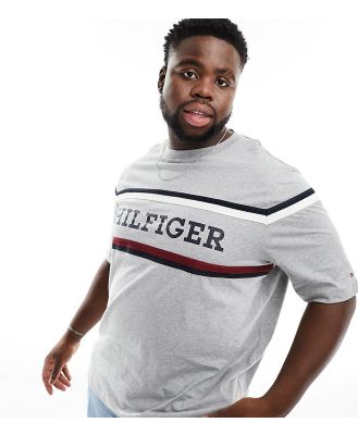Tommy Hilfiger Big & Tall monotype stripe t-shirt in grey