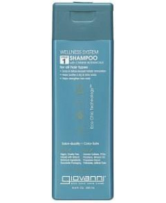 Giovanni Shampoo Wellness System 250ml