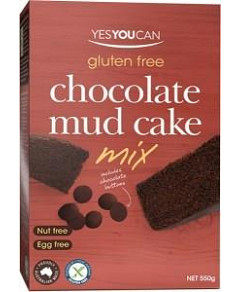 YesYouCan Choc Mud Cake G/F 550g