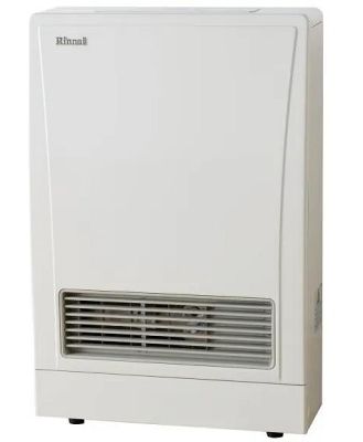 Rinnai Energy Saver 309FT Natural Gas Heater with Direct Flue Kit