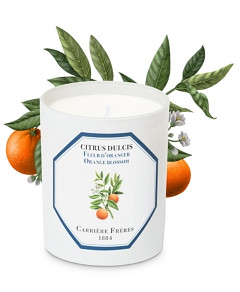 Carriere Freres Orange Blossom Candle, 6.5 oz.