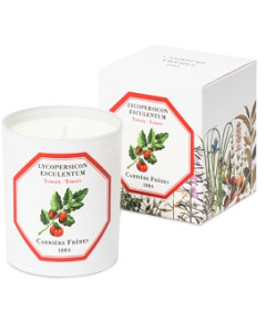 Carriere Freres Tomato Candle, 6.5 oz.