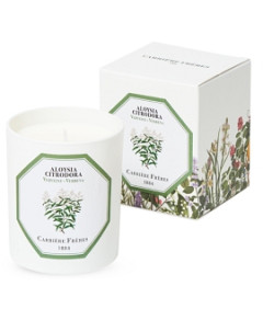 Carriere Freres Verbena Scented Candle, 6.5 oz.