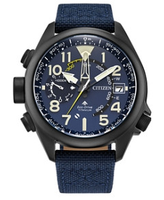 Citizen Eco-Drive Promaster Land Navy Watch, 47mm