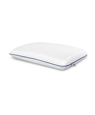 Sealy Chill Gel Memory Foam Pillow, Standard