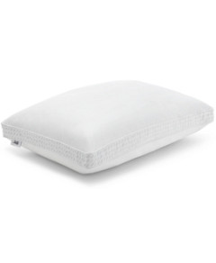 Sealy Down Alternative & Memory Foam Pillow, Standard