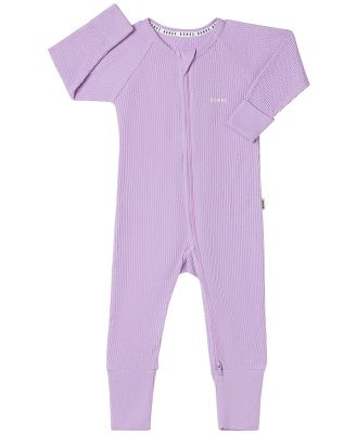 Bonds Waffle Zip Wondersuit in Cotton Purple Pansy Size: