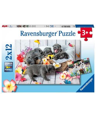 Ravensburger Puzzle 2x12 Piece Cute Little Furballs