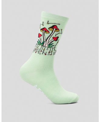 Afends Men's Journey Inward Hemp Socks in Green