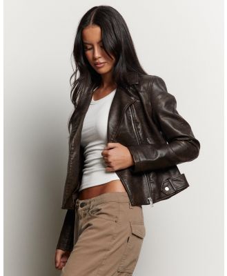 Ava And Ever Women's Mercury Jacket in Brown