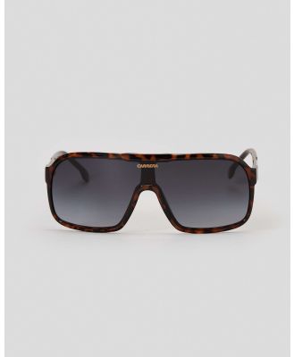Carrera Men's 1046/s Sunglasses in Brown