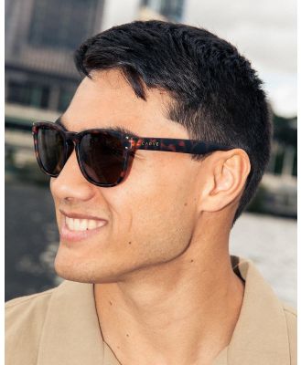 Carve Men's Homeland Sunglasses in Tortoise