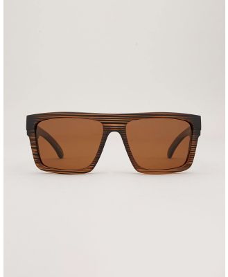 Carve Men's Volley Sunglasses in Brown