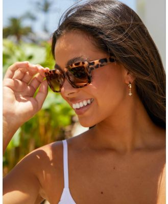 Carve Women's Laguna Sunglasses in Brown