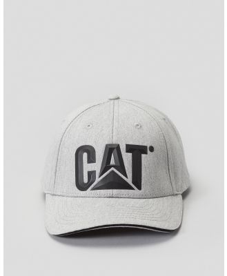 Cat Men's Logo 3D Print Cap in Grey
