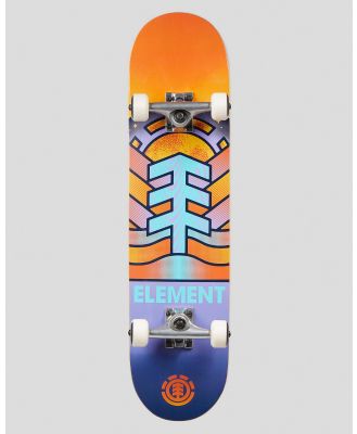 Element Adonis 7.75 Complete Skateboard