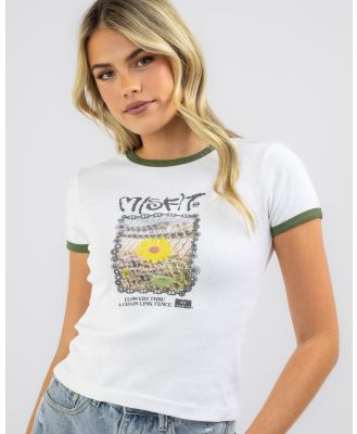 M/SF/T Women's Sheeps Gold Ringer T-Shirt in White