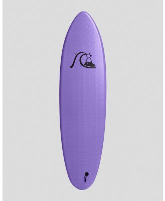 Quiksilver Twin 6'6 Softboard in Purple