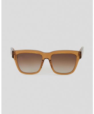 Shevoke Women's Finley Sunglasses in Brown