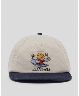 The Critical Slide Society Men's Plantasia Cap in White