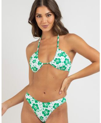 Topanga Women's Marina Bikini Top in Green