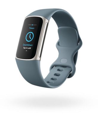 Fitbit Charge 5 Fitness Tracker - Steel Blue/ Platinum Stainless Steel