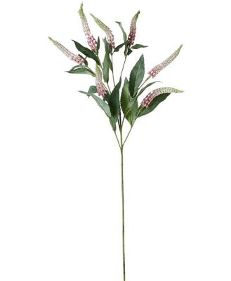 Acacia Cascara Flower Stem White & Pink x7 84cm