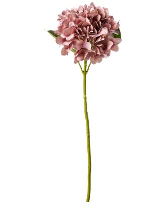 Acacia Hydrangea Flower Stem Vintage Pink 67cm
