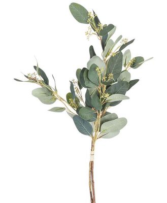 Acacia Paris Eucalyptus 70cm