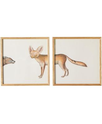 Botanica Fox Set of 2 Framed Print 30x30cm