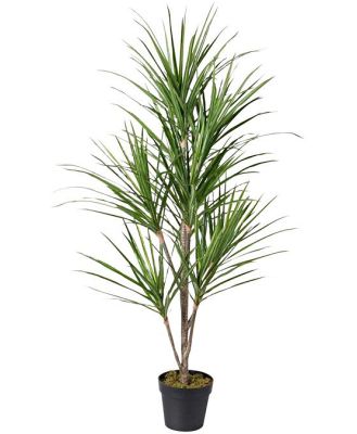 Eden Potted Faux Dragon Tree Green 140cm