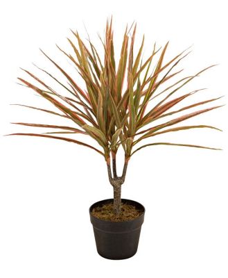 Eden Potted Faux Dragon Tree Red 65cm